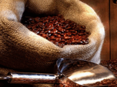 Mercado de café segue pressionado apesar de alívio com suspensão de tarifas nos EUA