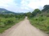 Governo da Bahia pavimentará mais de 125 km de rodovias estaduais