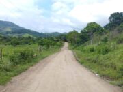 Governo da Bahia pavimentará mais de 125 km de rodovias estaduais